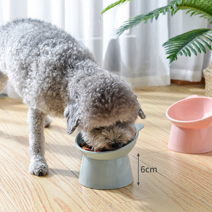 Elevated Anti-Slip Cat Bowl 45° Tilt for Pet Health