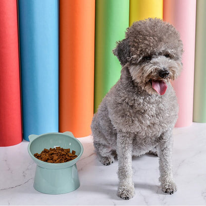 Elevated Anti-Slip Cat Bowl 45° Tilt for Pet Health