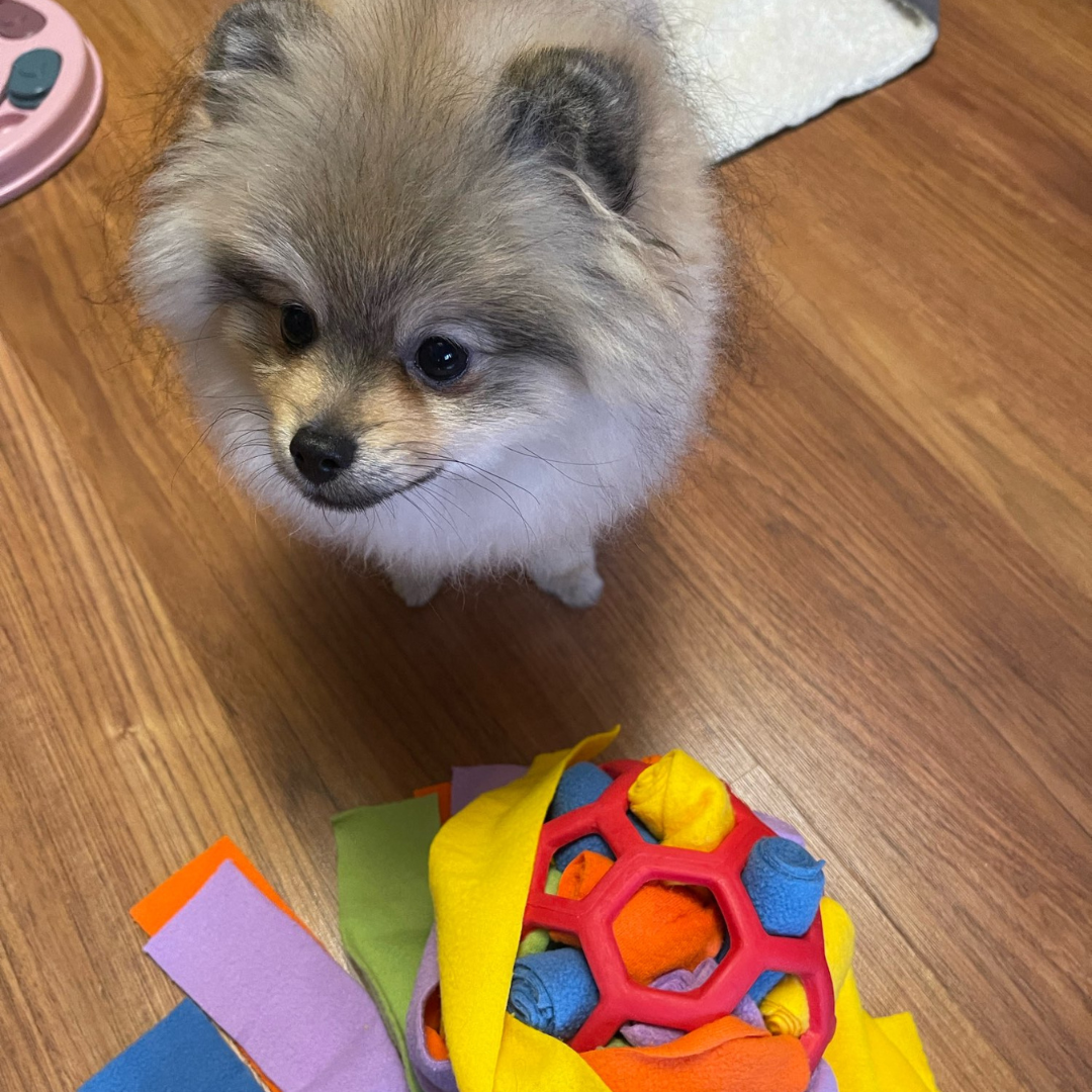 Interactive Treat Dispensing Dog Toy Ball